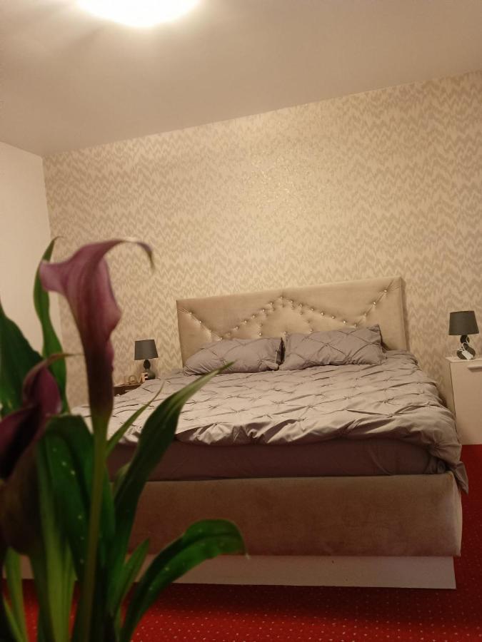 Karina House Apartment Brasov Exterior photo